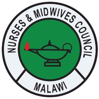 Malawi, Nurse & Midwives Council, HiM Partner, Christa Roby